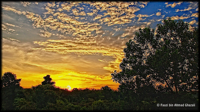 Tiada Ruginya Menanti